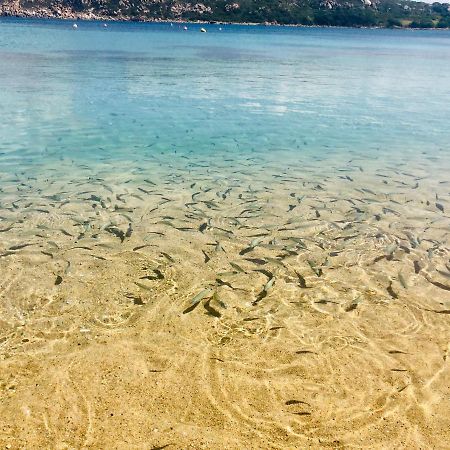 Le Residenze Itaca Daire Porto Pozzo Dış mekan fotoğraf