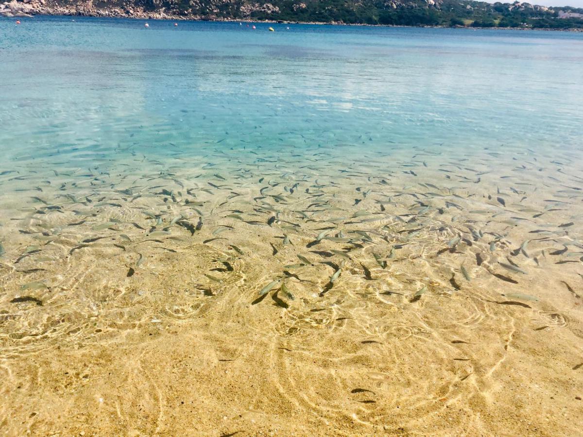 Le Residenze Itaca Daire Porto Pozzo Dış mekan fotoğraf